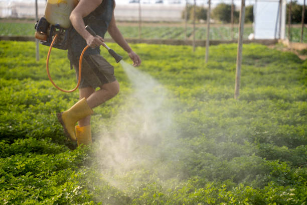 Best Pest Prevention Services  in North Bend, WA