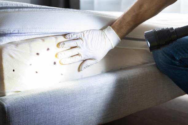 Best Affordable Pest Control Services  in North Bend, WA