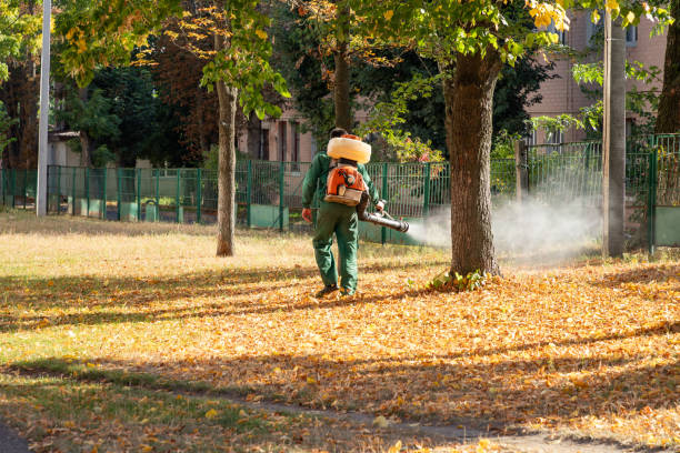 Best Residential Pest Control  in North Bend, WA