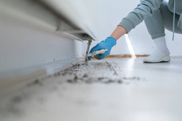 Best Wasp Removal Services  in North Bend, WA