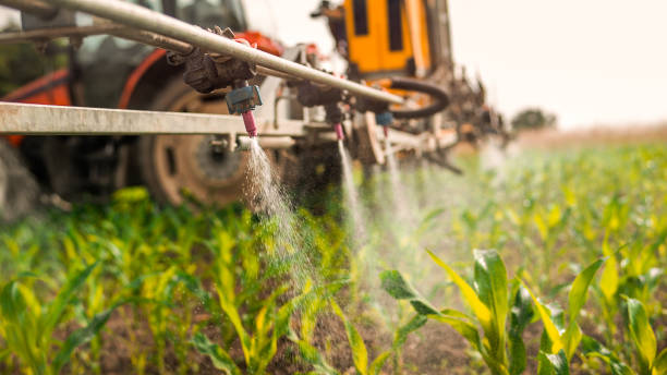Best Commercial Pest Control Services  in North Bend, WA