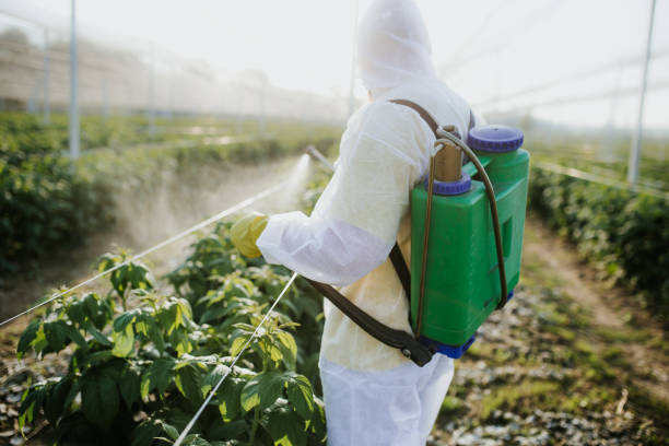 Best Emergency Pest Control  in North Bend, WA